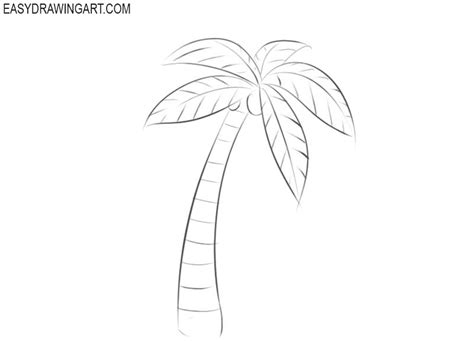How To Draw A Palm Tree Easy Drawing Art