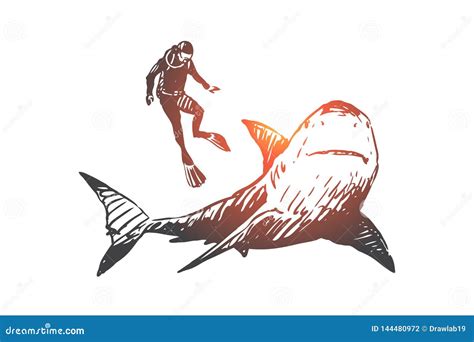 Sea Fauna Shark Swim Underwater Marine Concept Hand Drawn