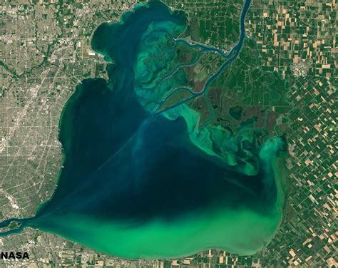 St Clair River Delta Largest Freshwater To Freshwater Delta In The
