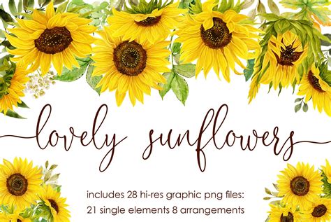Lovely Sunflowers Watercolor Set ~ Illustrations ~ Creative Market