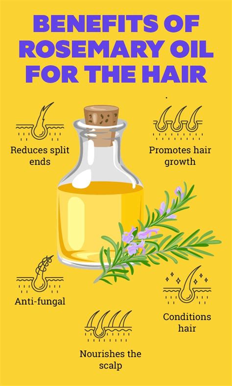 How To Make Rosemary Oil For Hair Growth Home Design Ideas