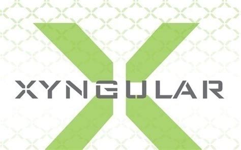 Petition · Xyngular Corporation And Distributors Stop False And