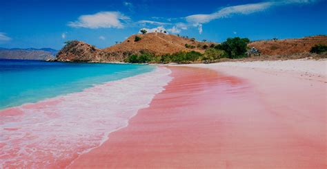 Pink Beach Dtour Komodo Travel