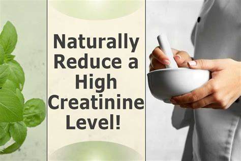 Naturally Reduce A High Creatinine Level Creatinine Levels Kidney