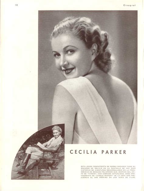 A Slice Of Cheesecake Cecilia Parker Idol Features