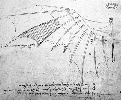 Leonardo Da Vinci Flying Machine