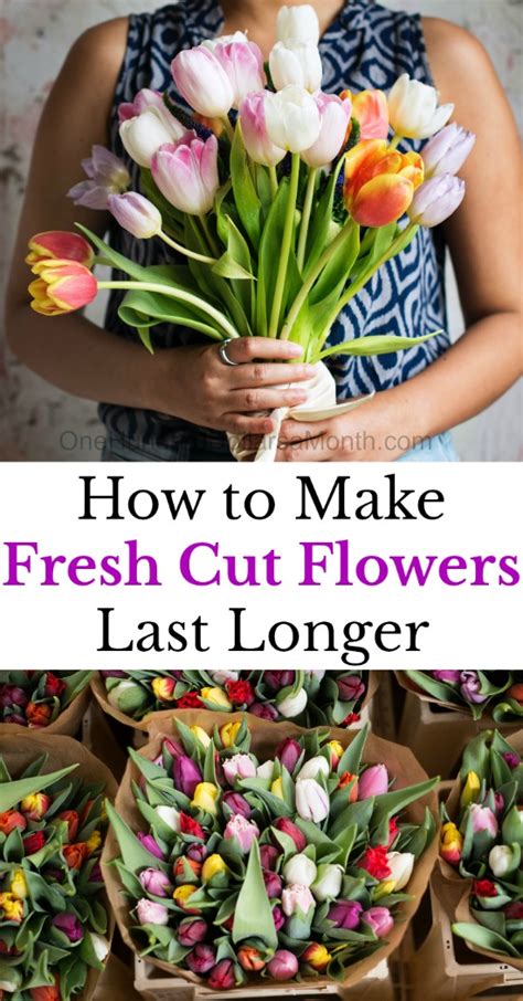 Florists' coolers range from 33° to 40°f, so your fridge likely won't be cool enough and any fruit or how to keep flowers fresh. 10 Tips to Make Fresh Cut Flowers Last Longer - One ...