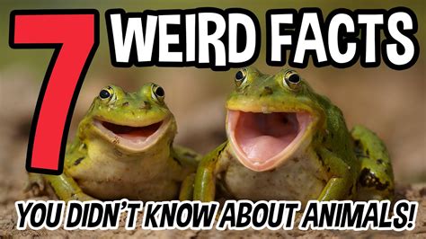 7 Weird Facts You Didnt Know About Animals Youtube