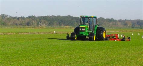 Lake jem farms has built its turfgrass business on excellent turfgrass products, customer service, and product availability. Central Florida Sod Farm - Sod Installation - Lake Jem Farms
