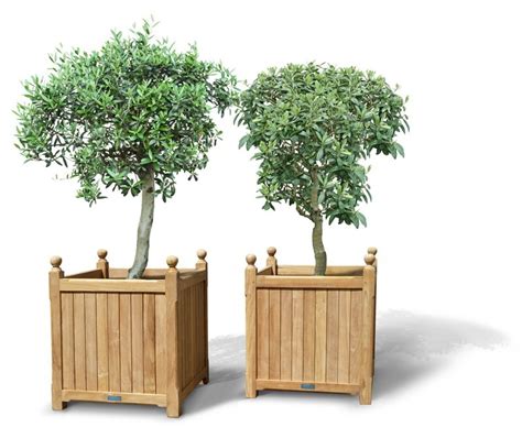 See more ideas about planters, planter boxes, garden planters. Pair of Extra Large Versailles Planter | Teak Garden ...