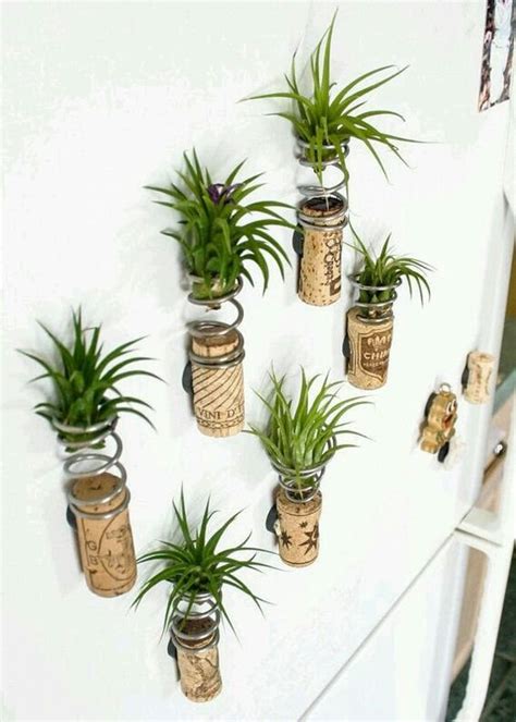 Lo ideal son plantas que sean pequeñas y especiales para macetas. decoraciones con plantas para interiores