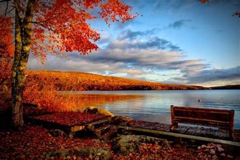 The Best Places To See Maine Fall Foliage Alltherooms The Vacation