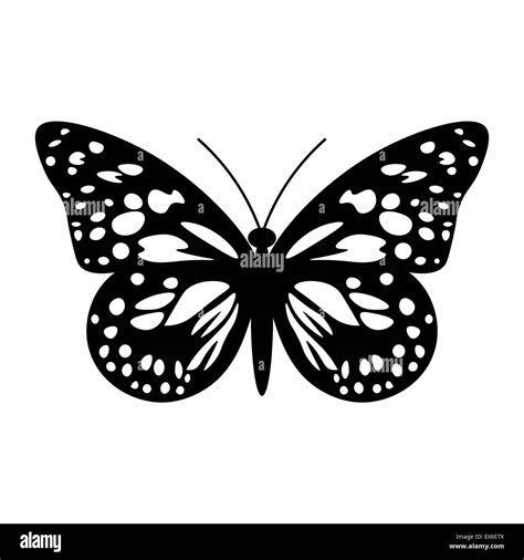 Beautiful Black And White Butterfly Isolated On White Stock Photo Alamy