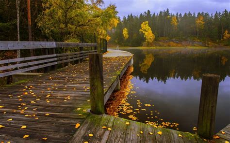 1920x1200 Nature Landscape Fall Leaves Lake Forest Walkway Fence