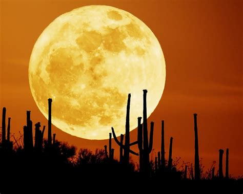Find & download free graphic resources for full moon. Full Moon Wallpapers and Screensavers - WallpaperSafari