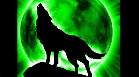 Free Download Cool Wolf Pic The Anubians Wolf Pack Photo 22245839