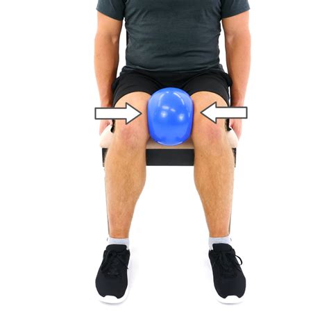 Ball Squeeze Hip Adduction Seated Denver Physical Therapy At Home
