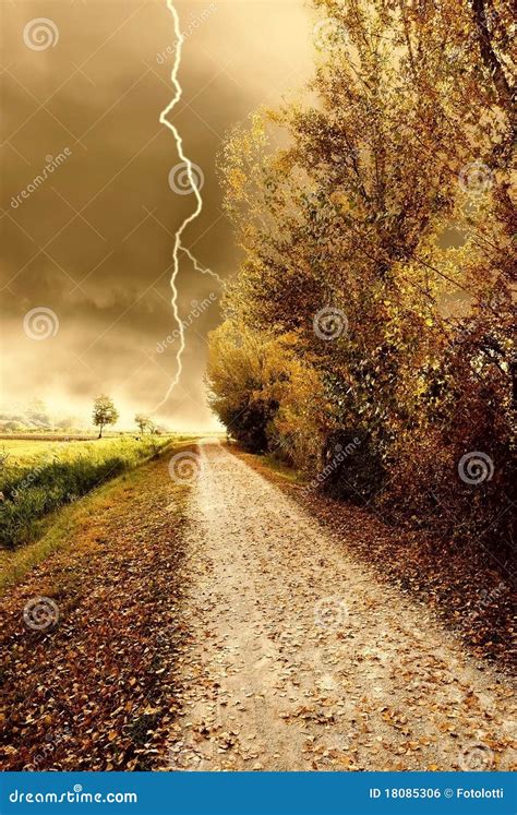 Autumn Storm In The Park Stock Photo Image Of Natural 18085306