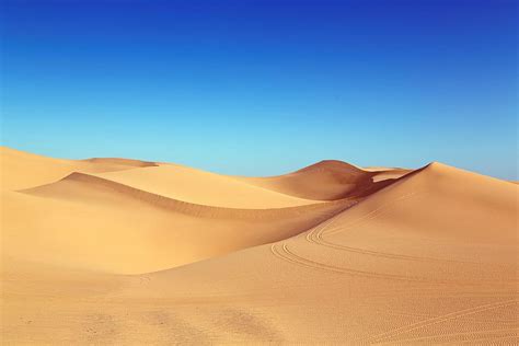 Hd Wallpaper Brown Desert Dune Algodones Dunes Sand Dunes Nature