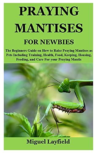 Praying Mantises For Newbies The Beginners Guide On How To Raise