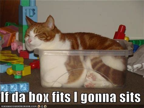 Image 268067 If It Fits I Sits Know Your Meme