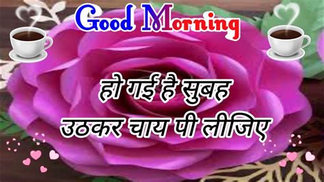 Good Morning Status Video 🌹 Good Morning Love Shayari 🌹 Whatsup Status