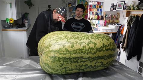 Giant Watermelon 288 Lbs Cut Open See Inside Youtube