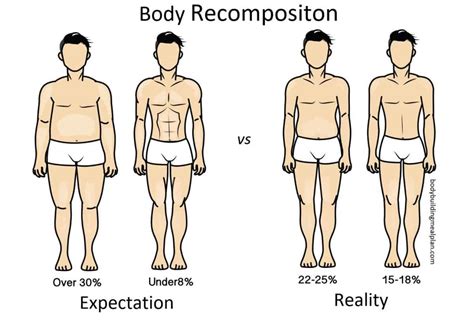 How To Use Body Recomposition To Transform Your Body Nutritioneering