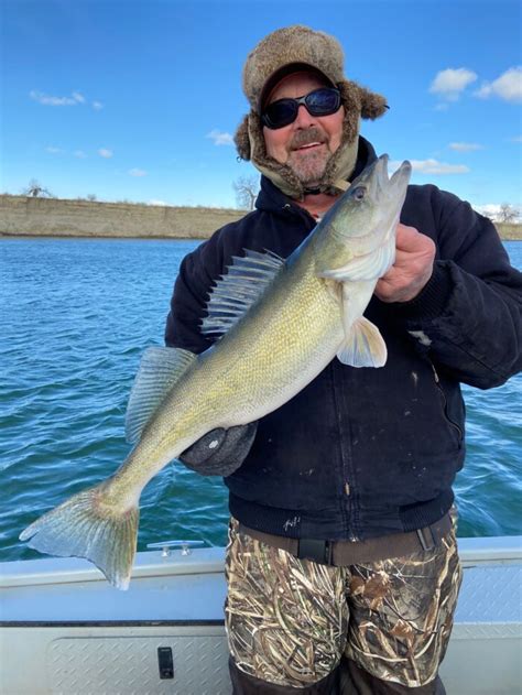 Walleye Fishing Success On The Missouri River Montana Hunting And