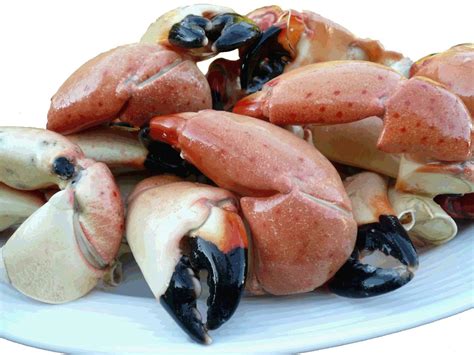 5 Lb Colossal Florida Stone Crab Claws Grocery And Gourmet Food