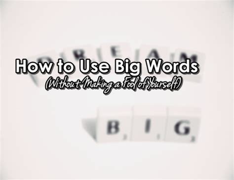 How To Use Big Words Without Making A Fool Of Yourself First Edition