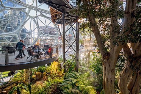 The Spheres Exploring Biophilia In The Modern Workplace In 2020