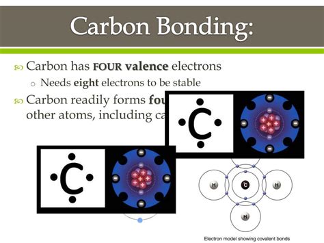 Ppt Carbon Compounds Powerpoint Presentation Free Download Id2319022