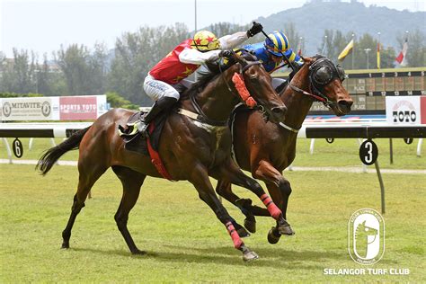 Eptimum and flying thunder were crowded a veterinary inspection of thrilled, which was eased down over the final 200 metres, immediately following the race found that horse to have bled. Selangor Horse Racing Video - Surat Mij