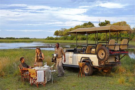 South Africa Safari Honeymoon What You Need To Know African Safari