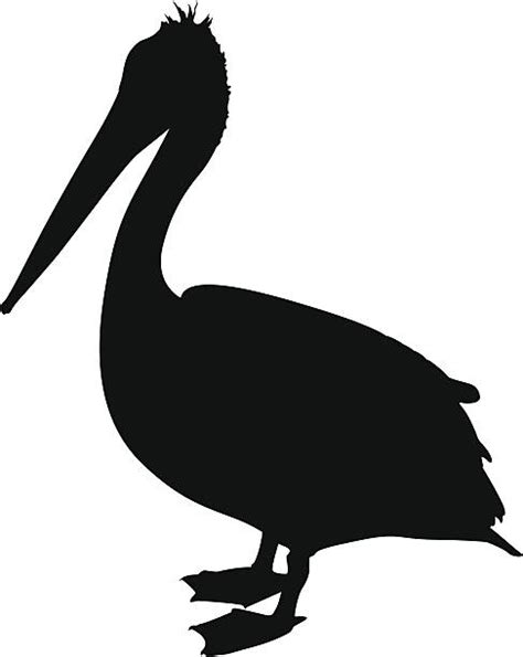 Pelican Silhouette Clip Art Vector Images And Illustrations Istock