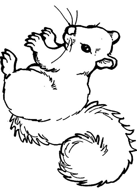 Mit der fuchs sitzend malvorlage aus der kategorie comics können sie nichts falsch. Malvorlagen Baby Tiere