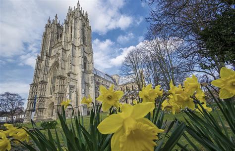 15 Best Things To Do In Beverley Yorkshire England The Crazy Tourist