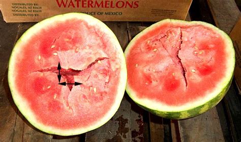 Watermelons Hollow Heart International Produce Training