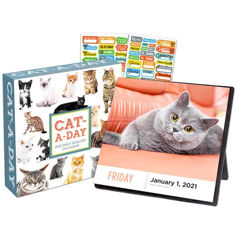 Buy Cat A Day 2021 Box Edition Bundle Deluxe 2021 Daily Cats Day At