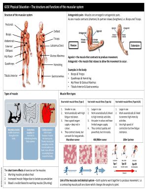 Fillable Online Gcse Physical Education The Structure And Functions Of The Muscular System Fax
