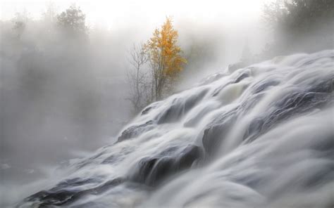 Nature Landscape Mist Trees Moss River Fall Water Long Exposure