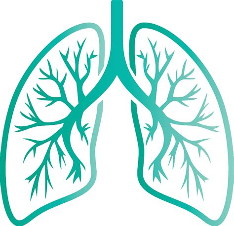 Lungs Transparent Images Png Arts