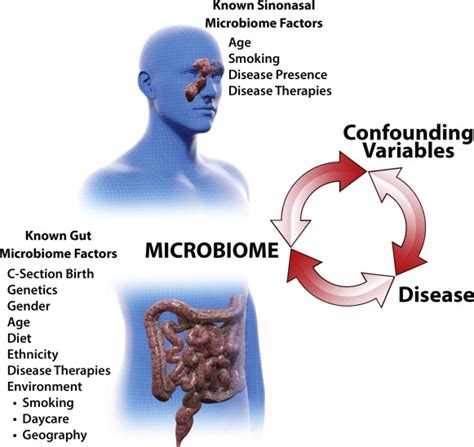 Microbiome In Patients With Upper Airway Disease Moving From Taxonomic