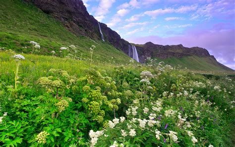 Download Wallpaper For 480x854 Resolution Iceland Morning Scenery