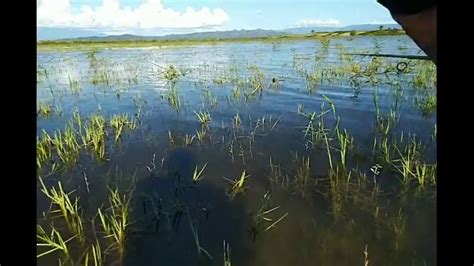 Insiden perahu terbalik terjadi di waduk kedung ombo, kabupaten boyolali, jawa tengah. Spot Mancing Waduk Kedung Ombo - Hobi Mancing dan Makan Ikan