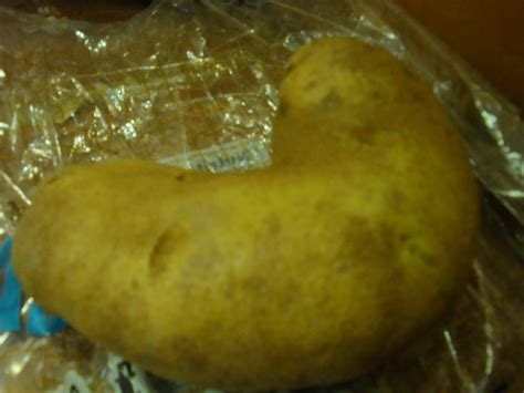 Weird Looking Potato Flickr Photo Sharing