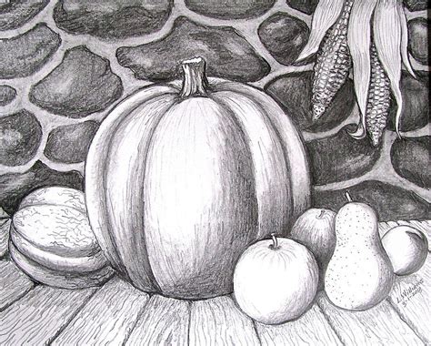 Fall And Harvest Drawings For Sale Still Life Pencil Shading Still