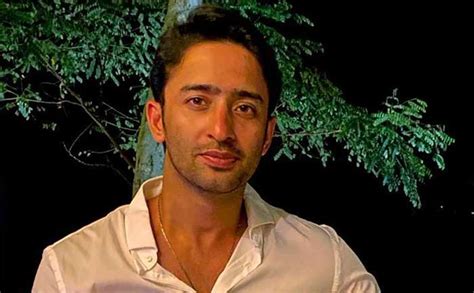 Shaheer gained huge popularity after. Shaheer Sheikh looks charming as he gazes at the sky; view pic