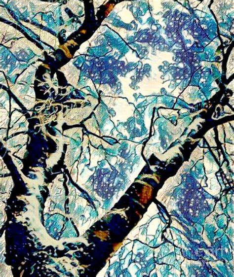 Blue Winter Photograph By Breena Briggeman Pixels